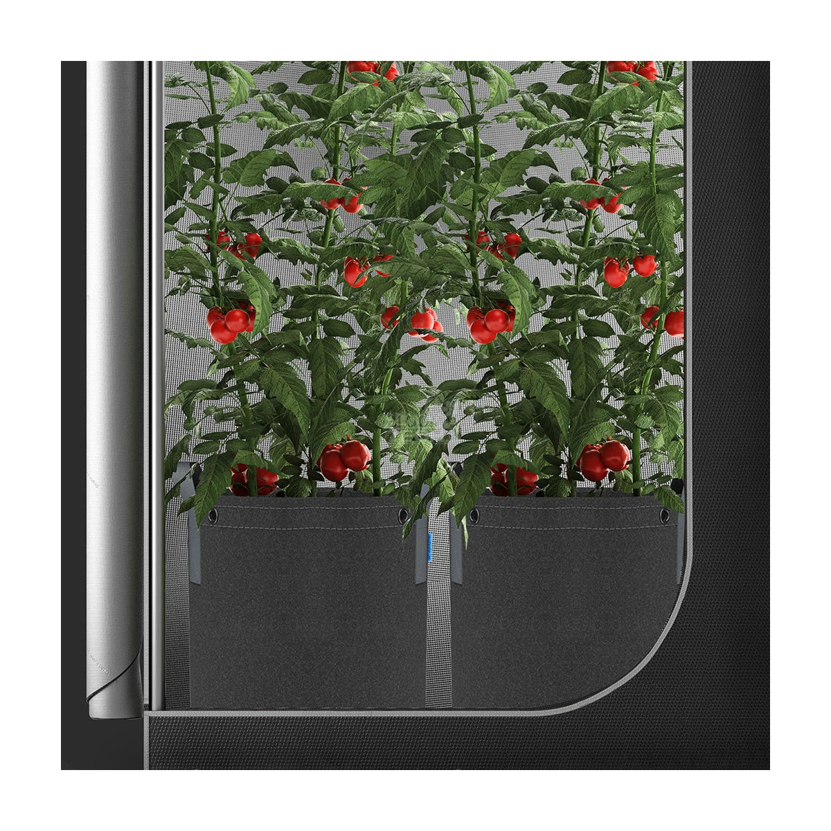 AC Infinity Stofftöpfe 19 Liter 5er-Pack